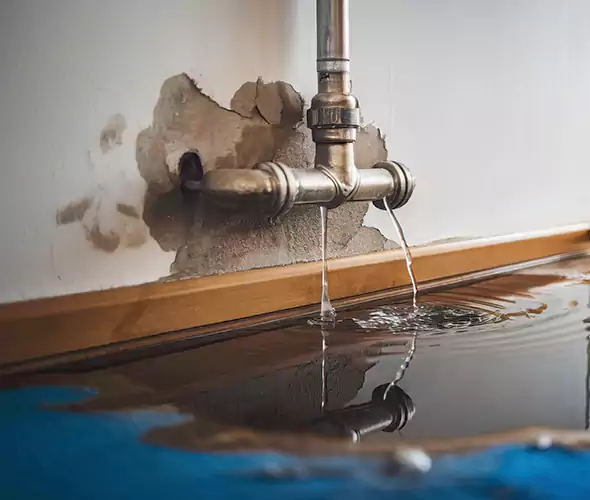 Professional Water Damage Restoration Experts in Wilmette, IL — Fast, Reliable & Certified