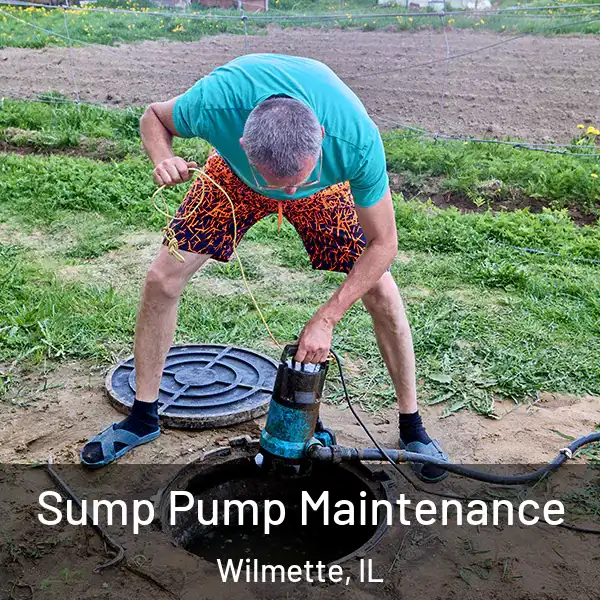  Sump Pump Maintenance Wilmette, IL