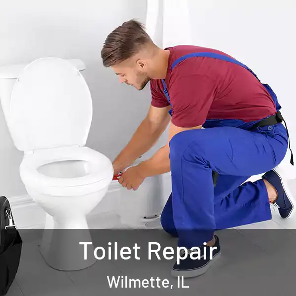  Toilet Repair Wilmette, IL