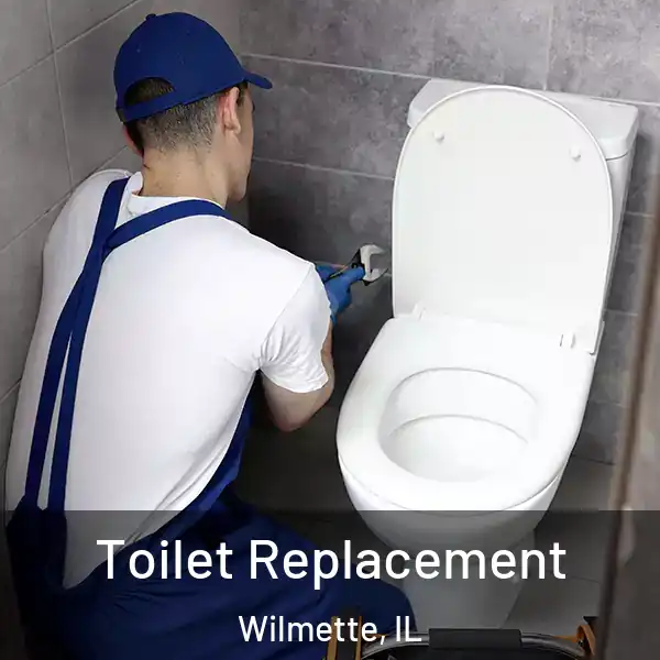  Toilet Replacement Wilmette, IL