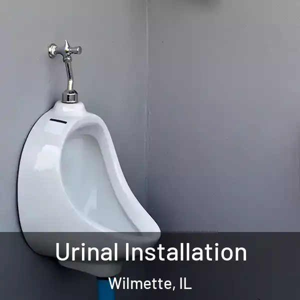  Urinal Installation Wilmette, IL