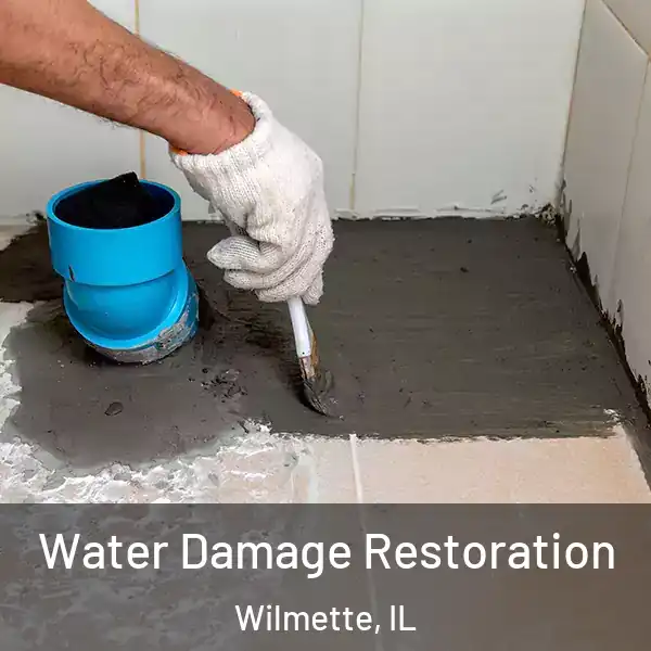  Water Damage Restoration Wilmette, IL