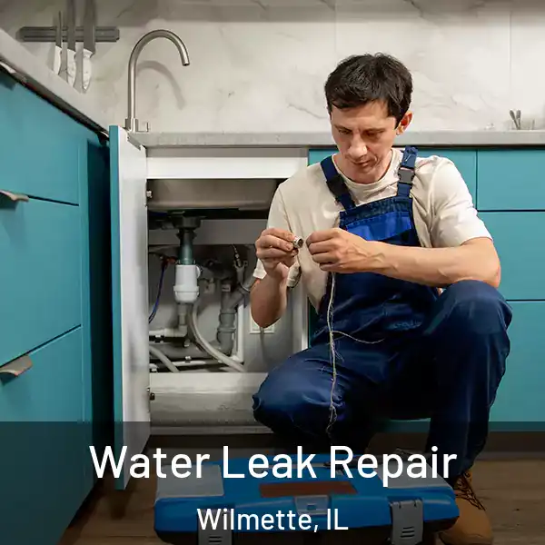  Water Leak Repair Wilmette, IL
